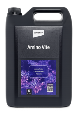 Ocean Six -  Amino Vite