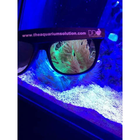 D-D Reef Viewing Aquarium Coral Sunglasses