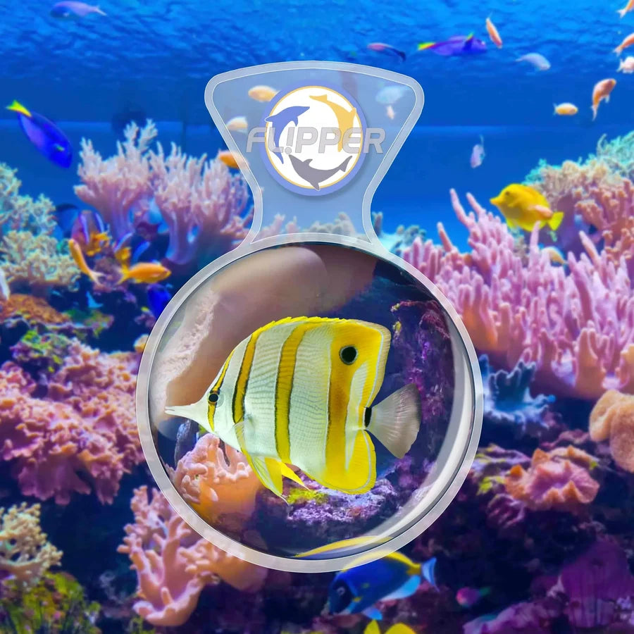 Flipper DeepSee Clear 4" Magnified Viewer