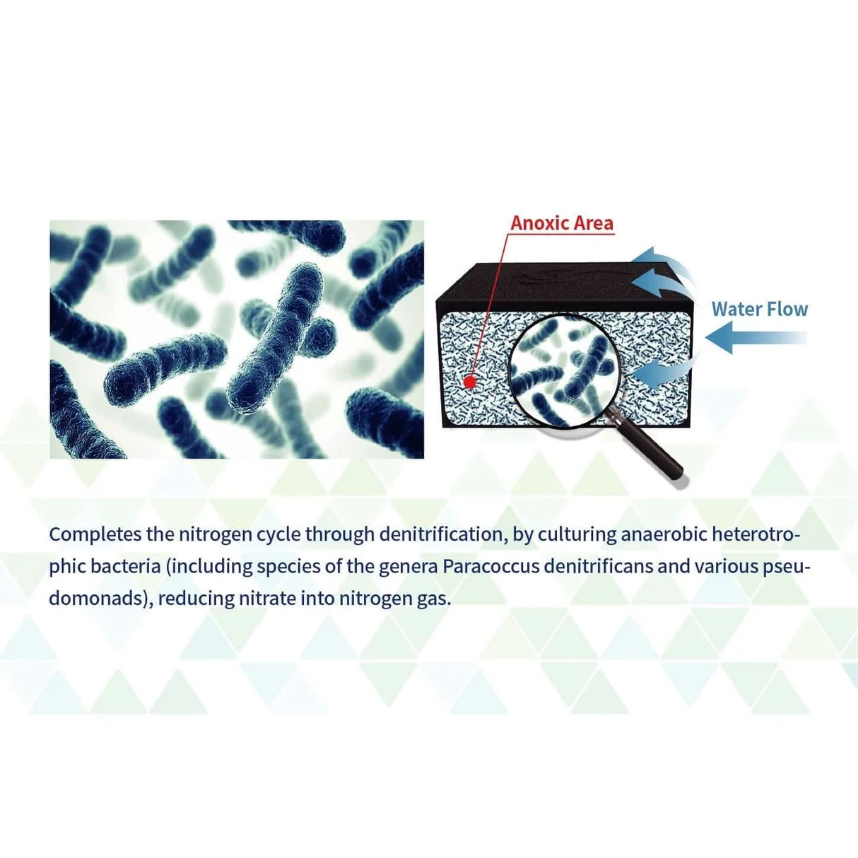Maxspect Nano-Tech Anaerobic Block 2pcs