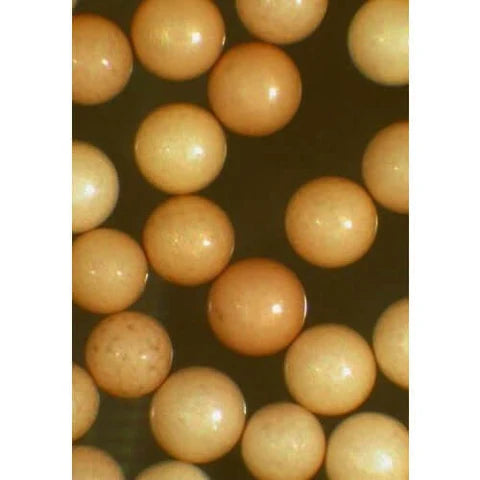 Ocean Nutrition Brine Shrimp Eggs
