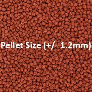 Ocean Nutrition Formula One Pellets