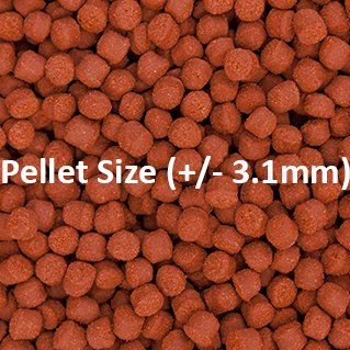 Ocean Nutrition Formula One Pellets