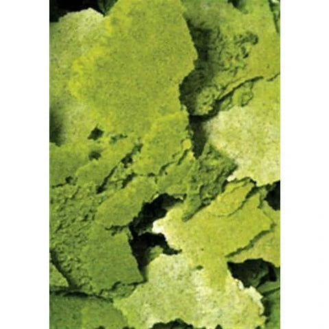 Ocean Nutrition Formula Two Flake