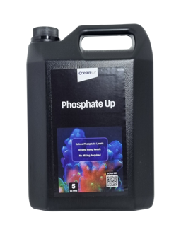 Ocean Six - Phosphate Up