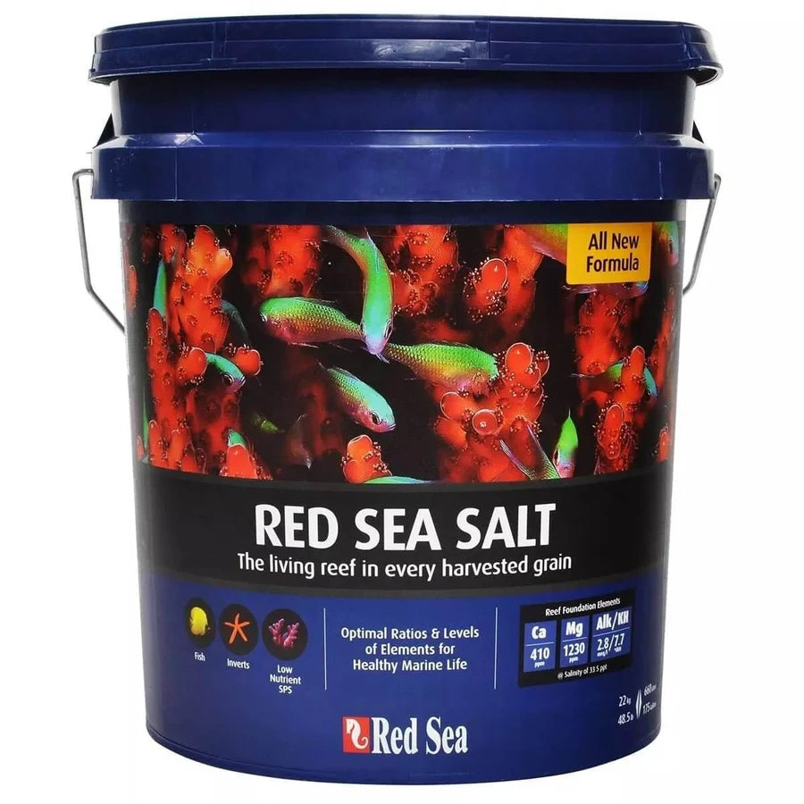 Red Sea Salt