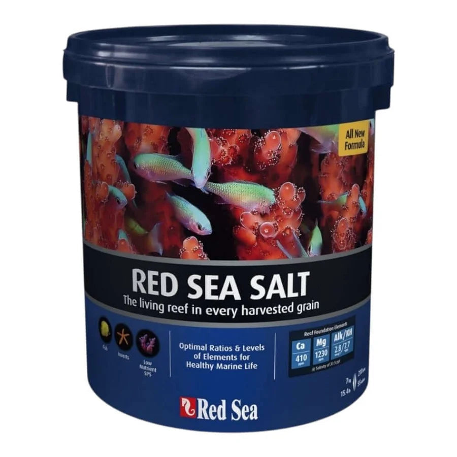 Red Sea Salt