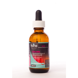 PolypLab Colours 50ml